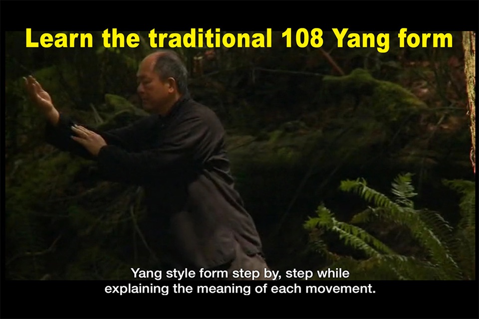 Yang Tai Chi for Beginners 1 screenshot 4