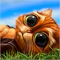 Solve the great match-3 puzzle with Indy Cat and help him get back the magical Ball of Fate