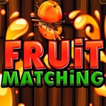 Fruit Matching