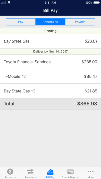 Image of FNBT & FCB Mobile