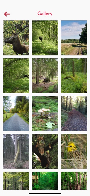 Bialowieza National Park Guide(圖4)-速報App