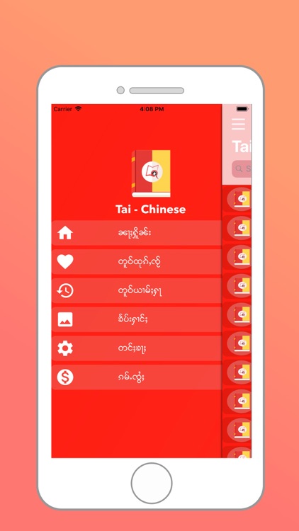 Tai Chinese Dictionary