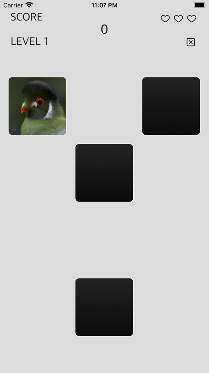 Memory Trainer .