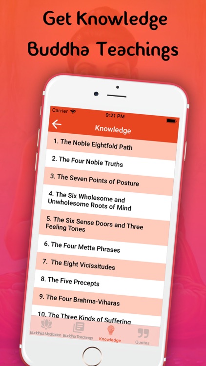 Buddha Teaching & Insight screenshot-4