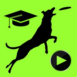 DiscDoggers Delight - Training