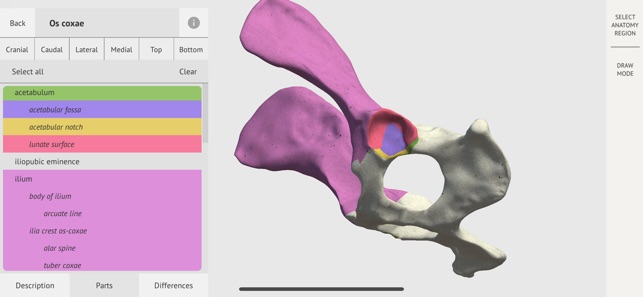 Dog Skeleton 3D Atlas(圖4)-速報App