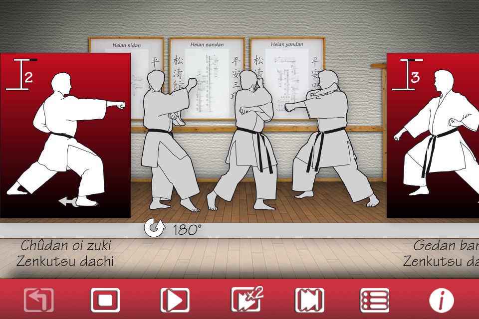 ShotokanPro screenshot 2