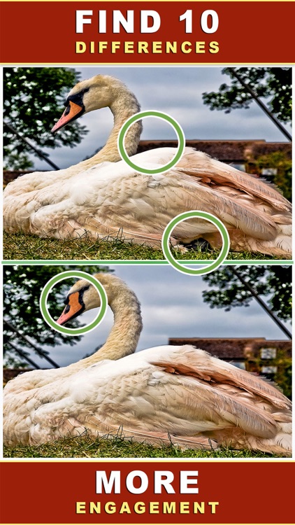 Find The Difference - Spot It