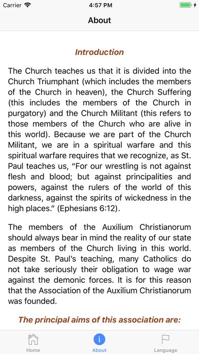 Auxilium Christianorum screenshot 4