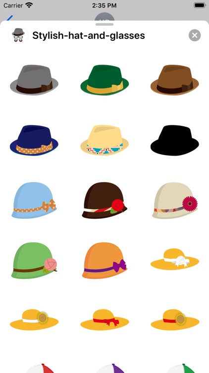 Stylish hat and glasses