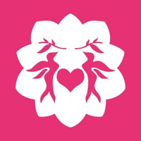 安祖京燕 -燕窝精选 pour PC
