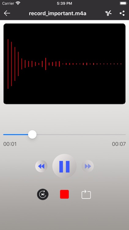 Voice Recorder -Audio Recorder screenshot-3
