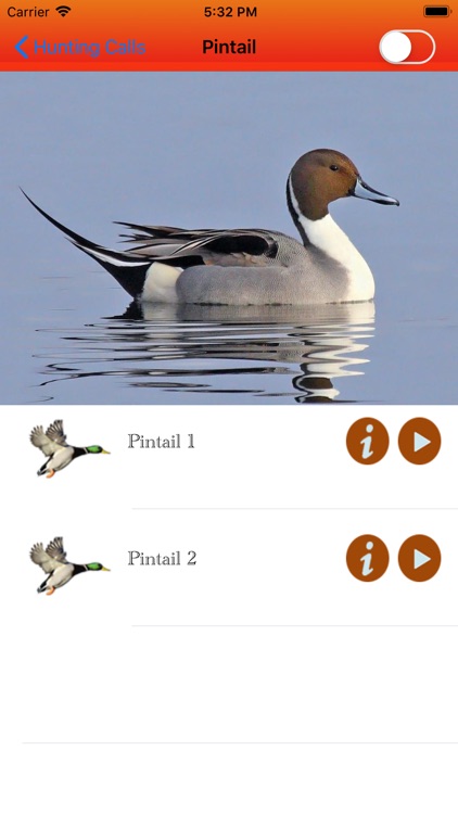 Duck Hunting Calls - screenshot-4