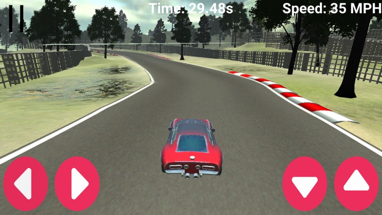 Car Expedition screenshot-4