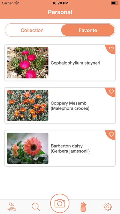 PlantDetect - Plant Identifier screenshot-6