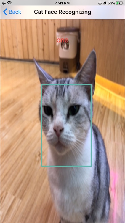 Catreco - Cat Face Recognition screenshot-5
