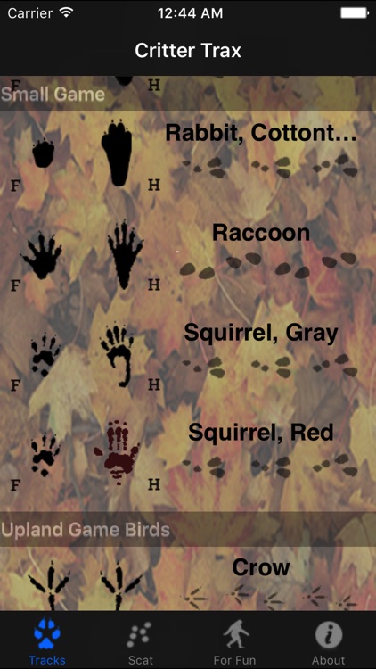 Critter Trax - Animal Tracks