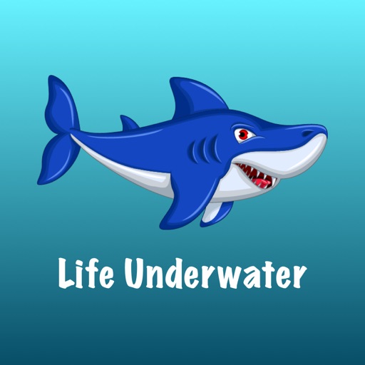 Life Underwater