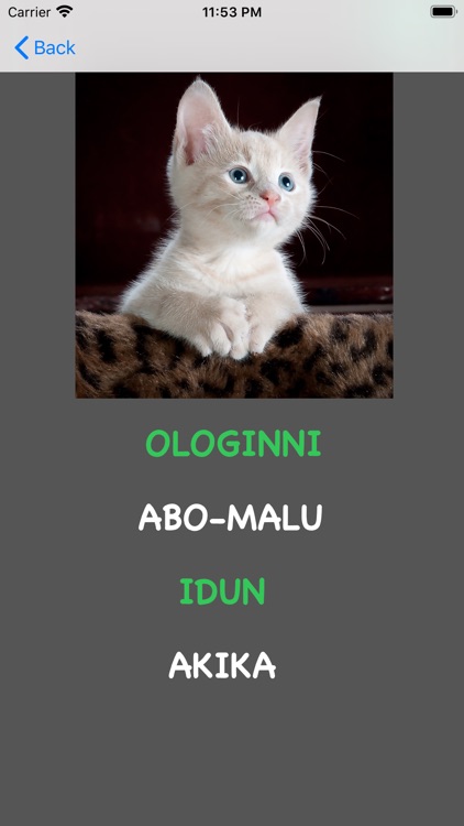 Yoruba Animal Quiz screenshot-5