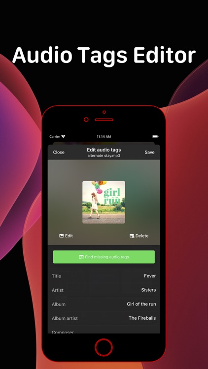 Evermusic Pro: offline music screenshot-3