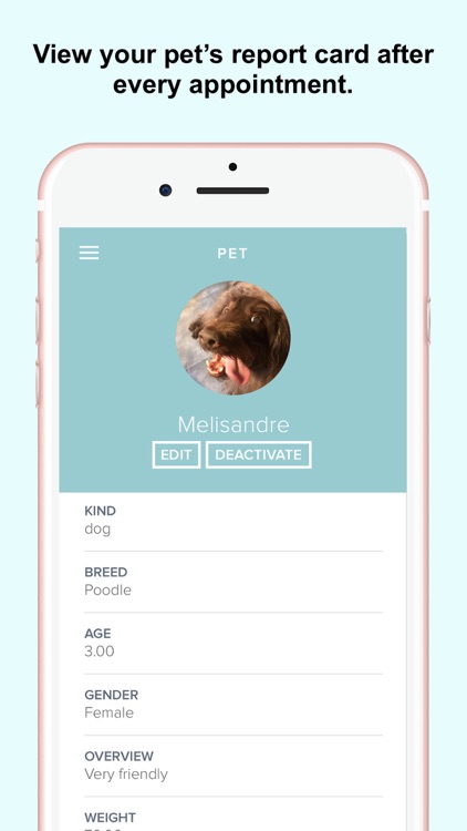 LouPETville screenshot-3