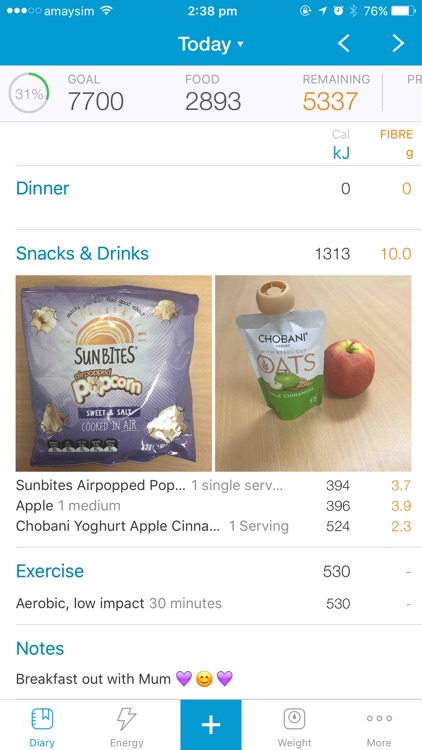 Easy Diet Diary