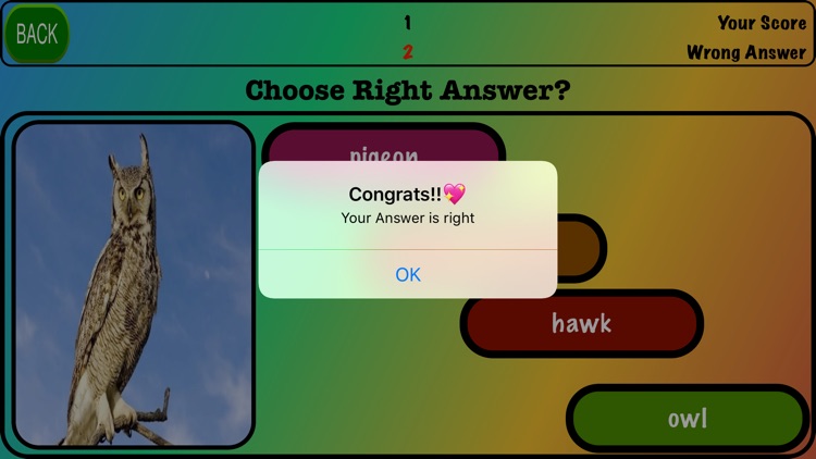 Animals Game!! screenshot-3