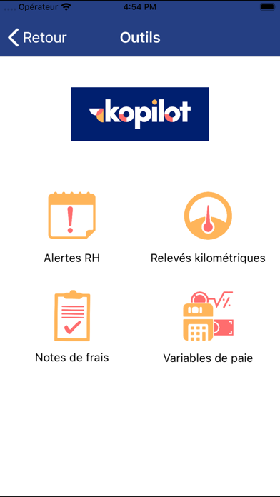 Kopilot-Conseil screenshot 2