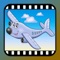 48 HD video clips of vehicles