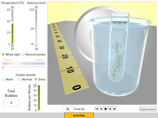 Photosynthesis screenshot 2