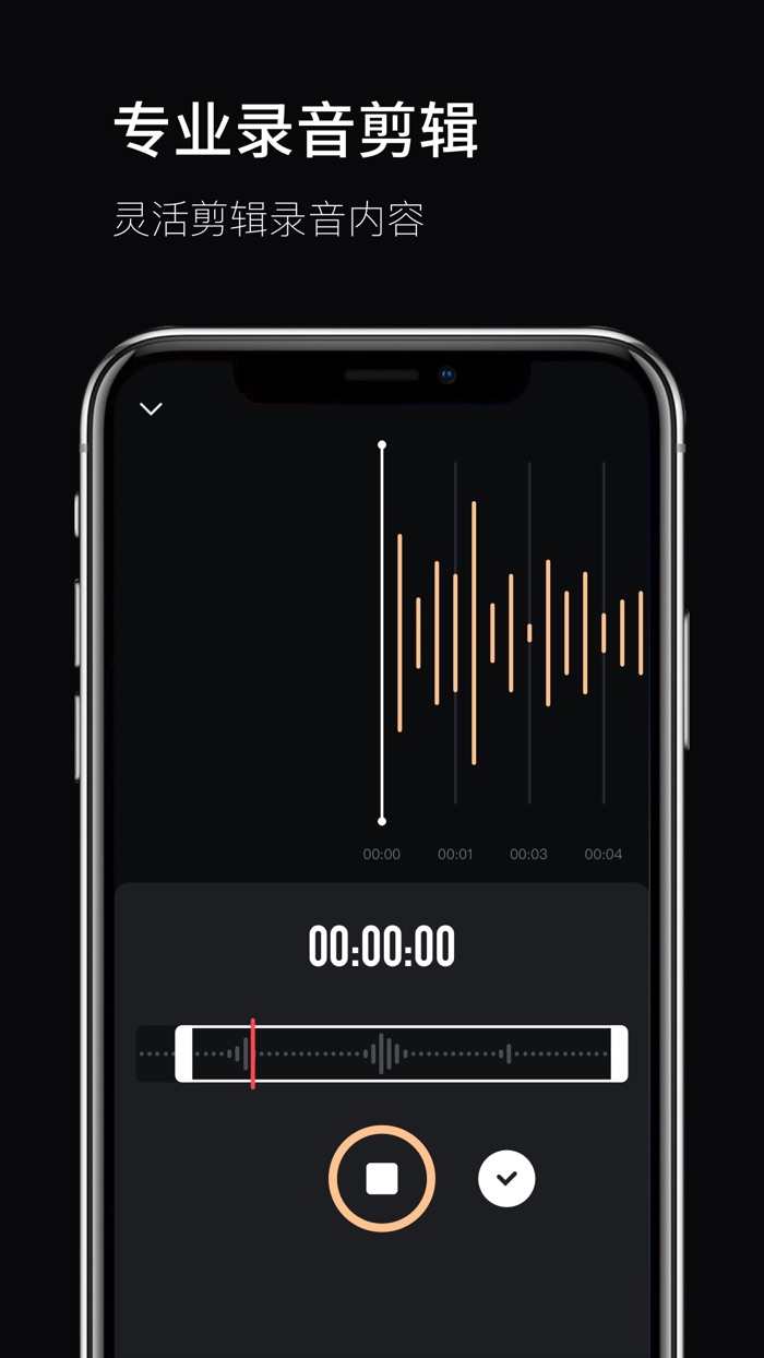 录音专业版 - 录音语音转文字