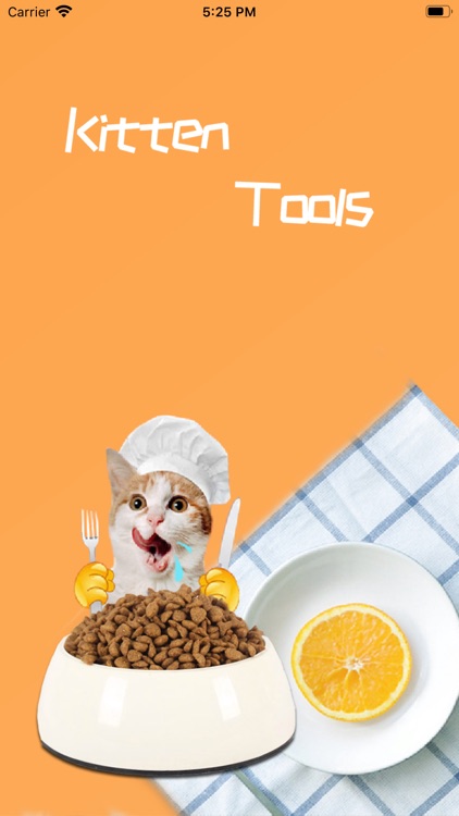 Kitten Routine Tools