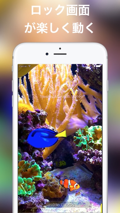 ロック画面用の水族館ライブ壁紙 By Voros Innovation Ios 日本 Searchman アプリマーケットデータ