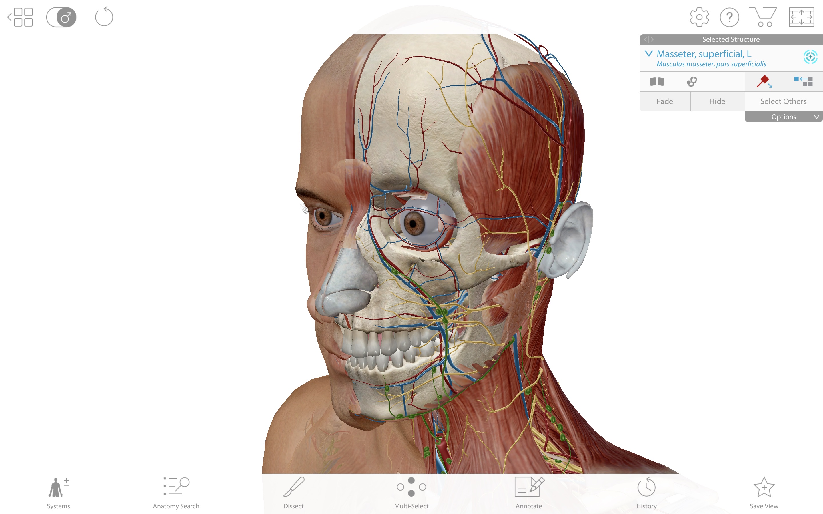 Screenshot do app Human Anatomy Atlas 2019