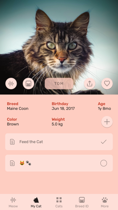 Cat App - Meowly Cats screenshot 2