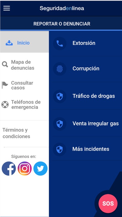 Seguridad en línea