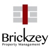 Brickzey Team