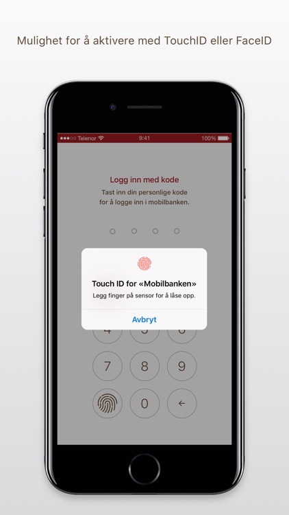 Helgeland Sparebank Mobilbank