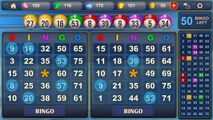 Bingo!!