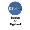 Icon Basics Of Algebra 1