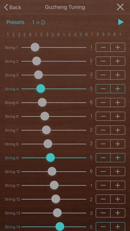 iGuzheng™⁺ screenshot-8