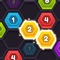 Hexa Puzzle Connect