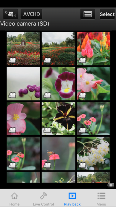 Panasonic Image App for PC - Free Download: Windows 7,10,11 Edition