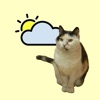 WeatherCat