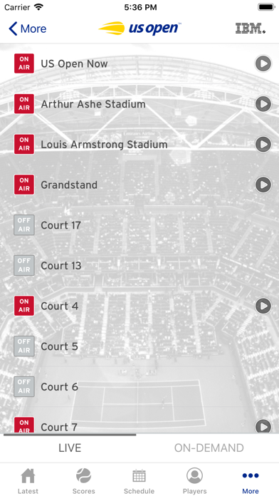 Us Open Tennis Championships review screenshots