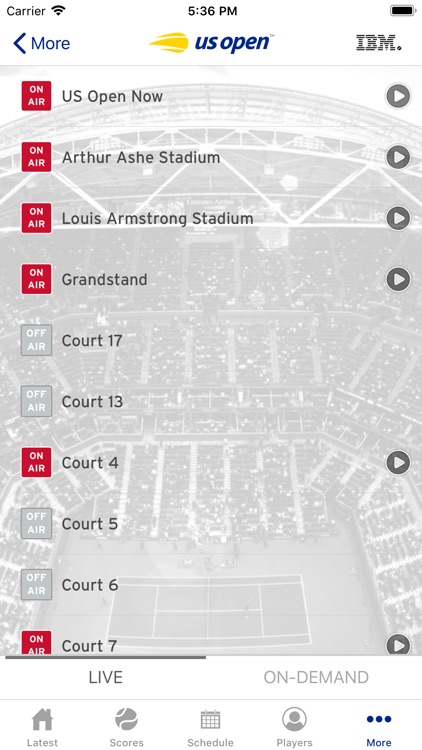 US Open Tennis Championships screenshot-4