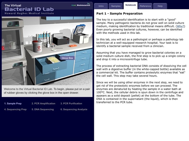 Bacterial ID Virtual Lab