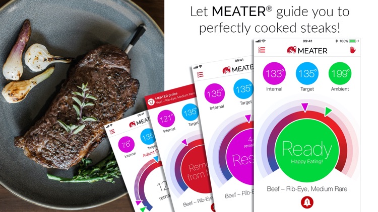 MEATER® Smart Meat Thermometer
