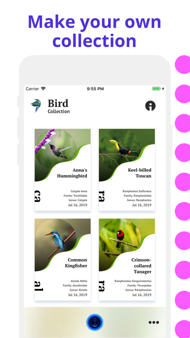 Bird Identification screenshot 3