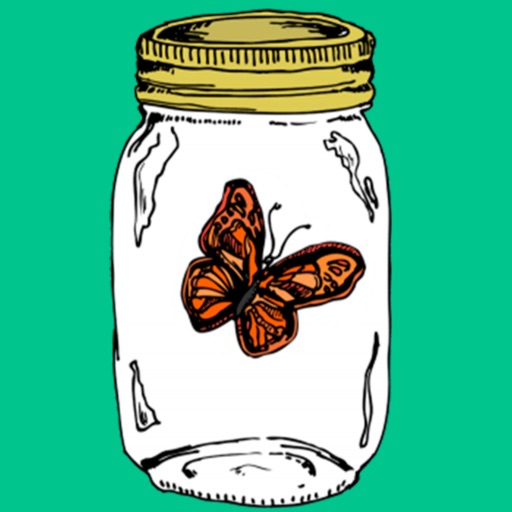 Butterfly In Jar